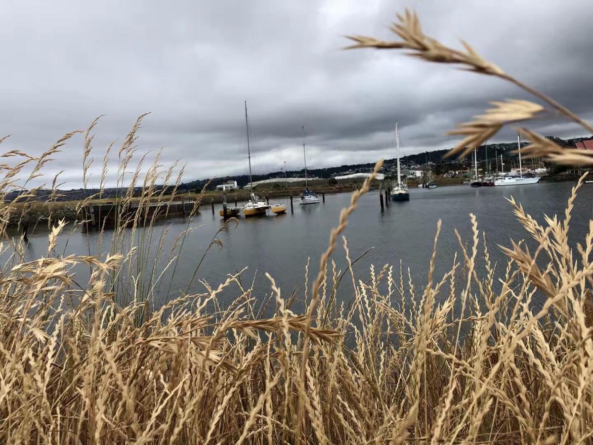 Harbourview Stadium Hotel Dunedin Bagian luar foto