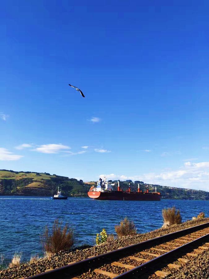Harbourview Stadium Hotel Dunedin Bagian luar foto