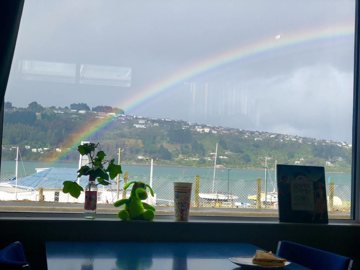 Harbourview Stadium Hotel Dunedin Bagian luar foto