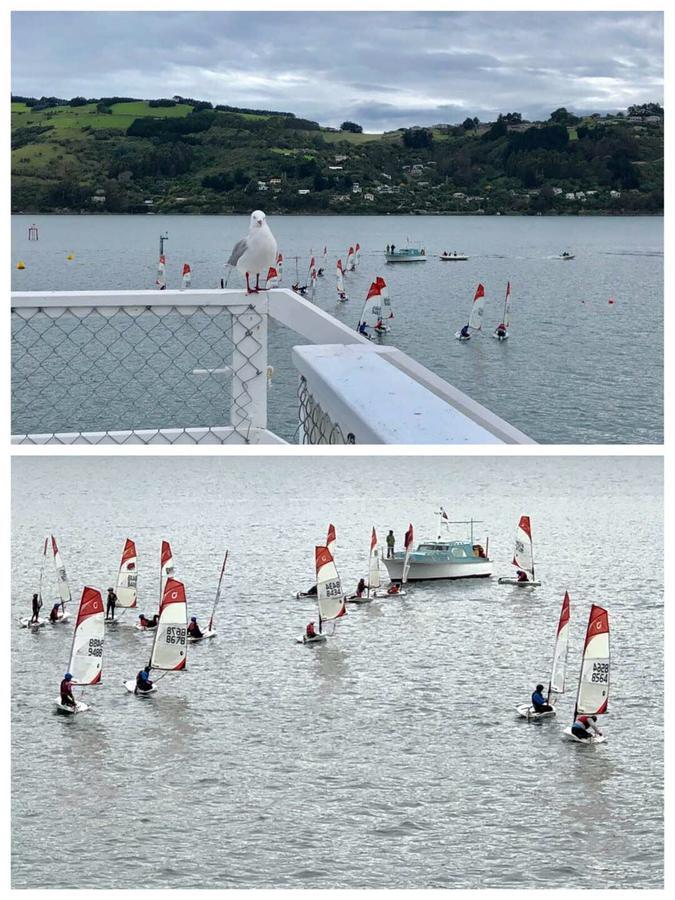 Harbourview Stadium Hotel Dunedin Bagian luar foto